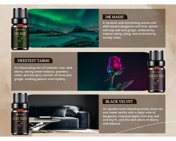 Hotel Essential Oils Set, Hotel Scents Fragrance Oil, Luxury Essential Oils for Diffuseret 6x10ML, My Way, Dream On, Cabana, 24k Magic, Black Velvet, Sweetest Taboo,Fall Gift