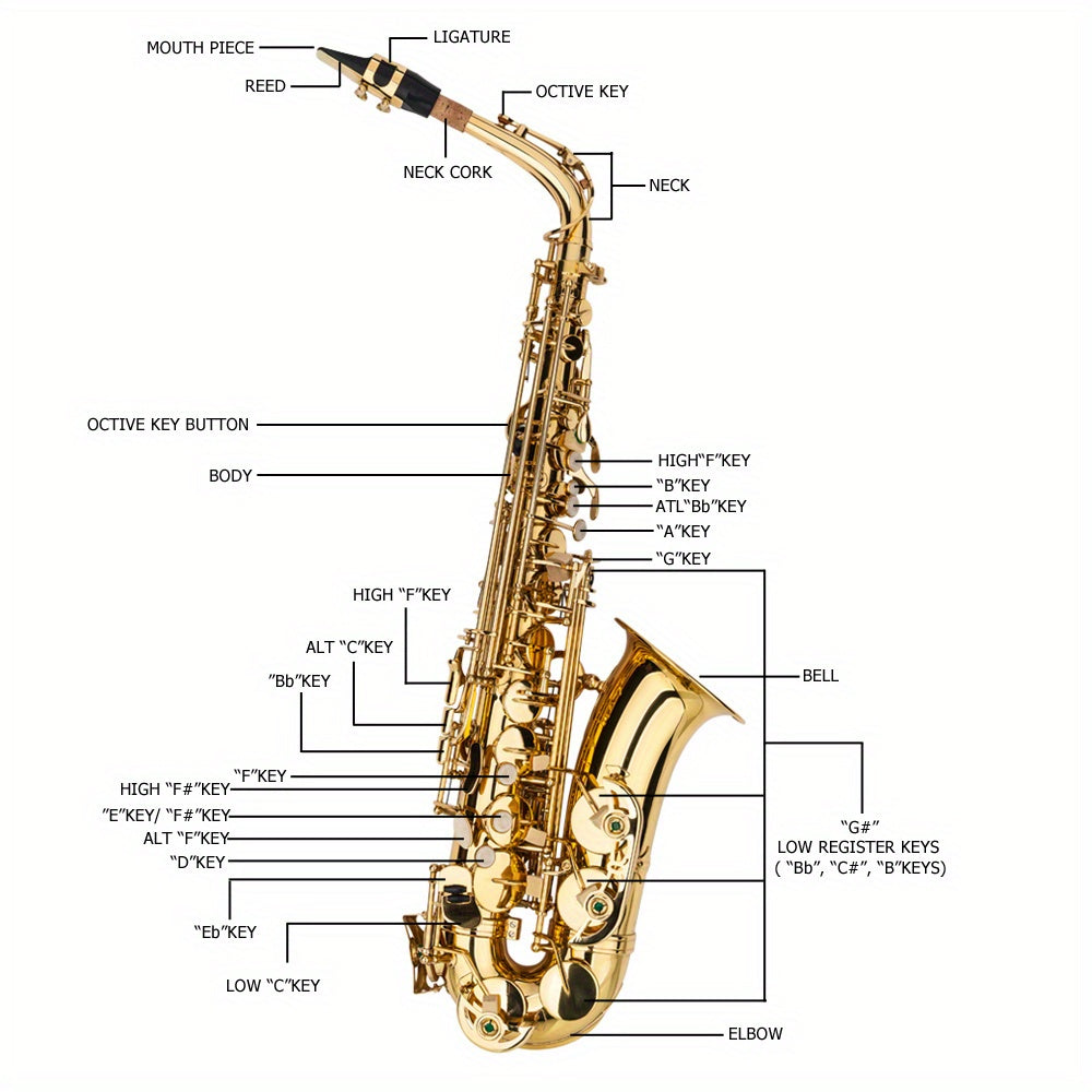 Alto Drop E Paint Golden Saxophone Paint Golden