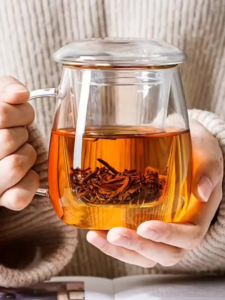 LDQ 1pc Infusion Mugs Glass Tea Cup with Infuser and Lid, High Borosilicate Glass Tea Cup for Loose Leaf Tea, Blooming Tea, Tea Bag Perfect for Christmas, Halloween, Thanksgiving, Tea Mug, Lidded Tea Mug, Stylish Infuser Mug,
