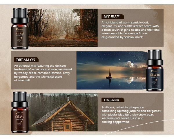 Hotel Essential Oils Set, Hotel Scents Fragrance Oil, Luxury Essential Oils for Diffuseret 6x10ML, My Way, Dream On, Cabana, 24k Magic, Black Velvet, Sweetest Taboo,Fall Gift