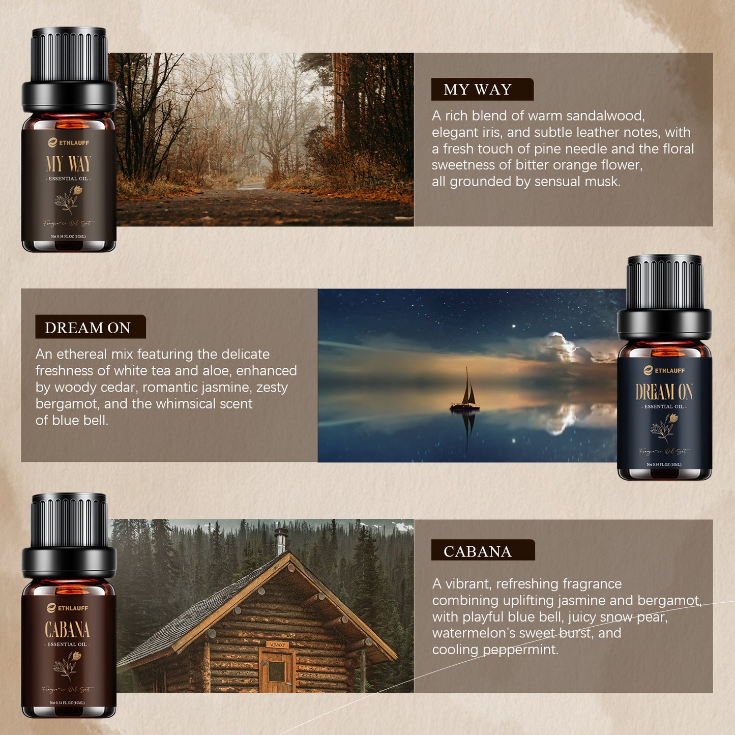 Hotel Essential Oils Set, Hotel Scents Fragrance Oil, Luxury Essential Oils for Diffuseret 6x10ML, My Way, Dream On, Cabana, 24k Magic, Black Velvet, Sweetest Taboo,Fall Gift