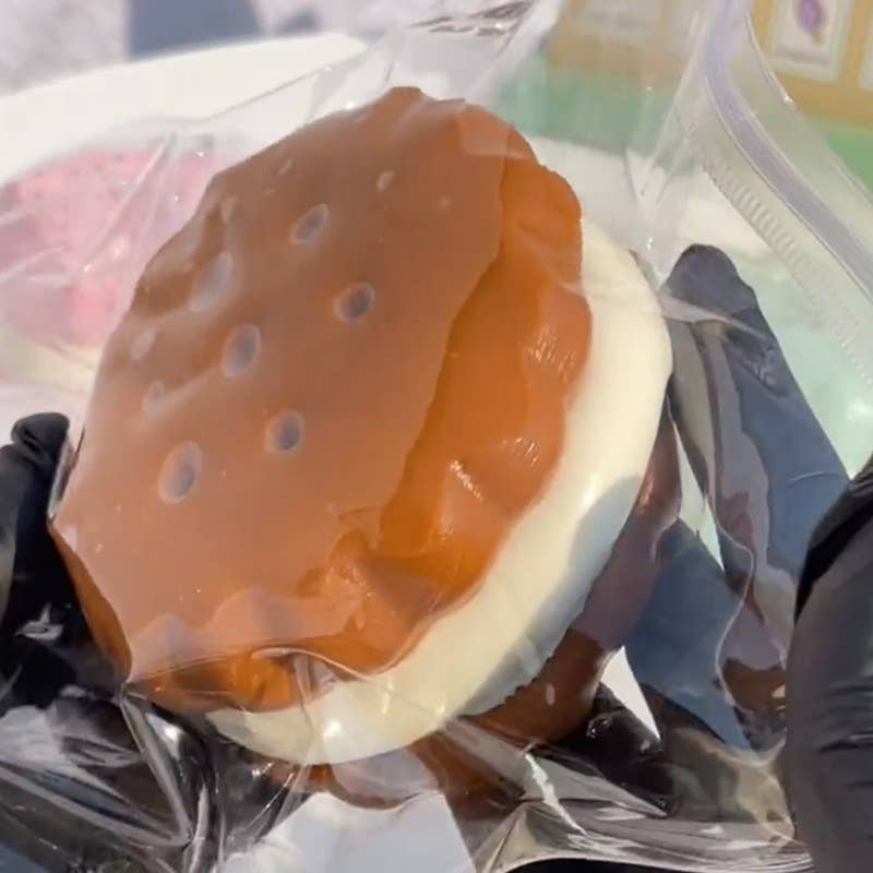 Slow Rebounding Realistic Cookie Squeeze Toy