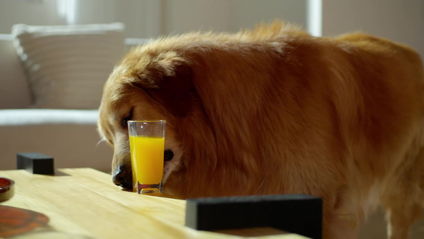 🎉Huge Sale🎉: Tineco iFLOOR 5 Breeze Complete Wet Dry Vacuum, One-Step Cleaning for Hard Floors, Edge Clean, Auto Self-Cleaning, Lightweight & Cordless Design, Blue