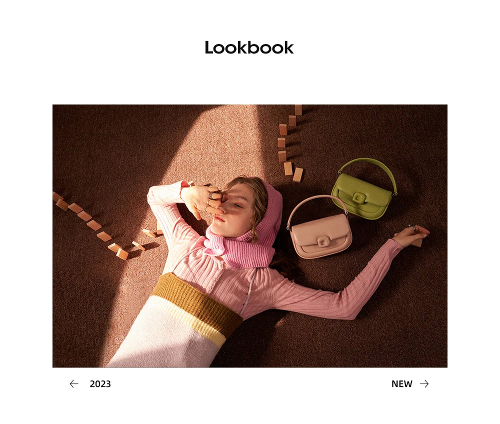 LA FESTIN Designer Women's bag Small Bag 2024 New Crossbody Shoulder Messenger Bag Women's Leather Bag Handbag Fashion Bag