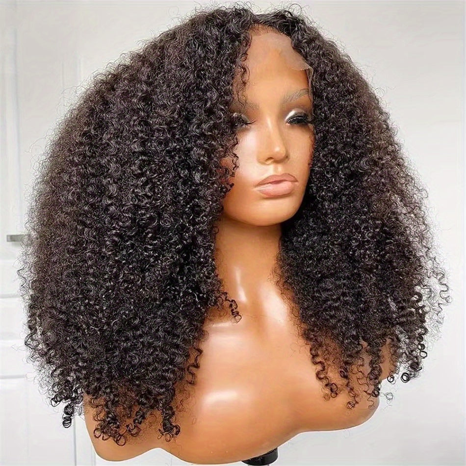 24 Inch Kinky Curly Wig for Women - 13x4 HD Lace Front, Glueless Brazilian Virgin Hair, Pre-Plucked with Kinky Edges, 250% Density, Natural Black Color, Full & Voluminous Curls, Perfect for Everyday or Special Occasions