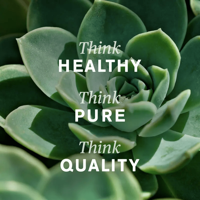 [Lymphatic Drainage Support] Nature's Sunshine Lymphatic Drainage Support Liquid Herbal Dietary Supplement | Traditional Formula | 2 fl.oz | Supporting Health | Vitamins and Supplement | Local Warehouse