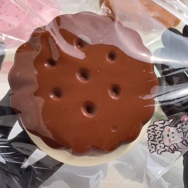 Slow Rebounding Realistic Cookie Squeeze Toy
