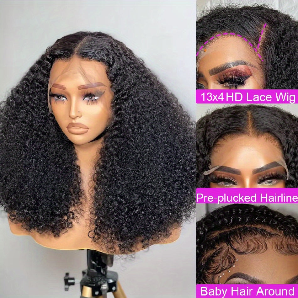 24 Inch Kinky Curly Wig for Women - 13x4 HD Lace Front, Glueless Brazilian Virgin Hair, Pre-Plucked with Kinky Edges, 250% Density, Natural Black Color, Full & Voluminous Curls, Perfect for Everyday or Special Occasions