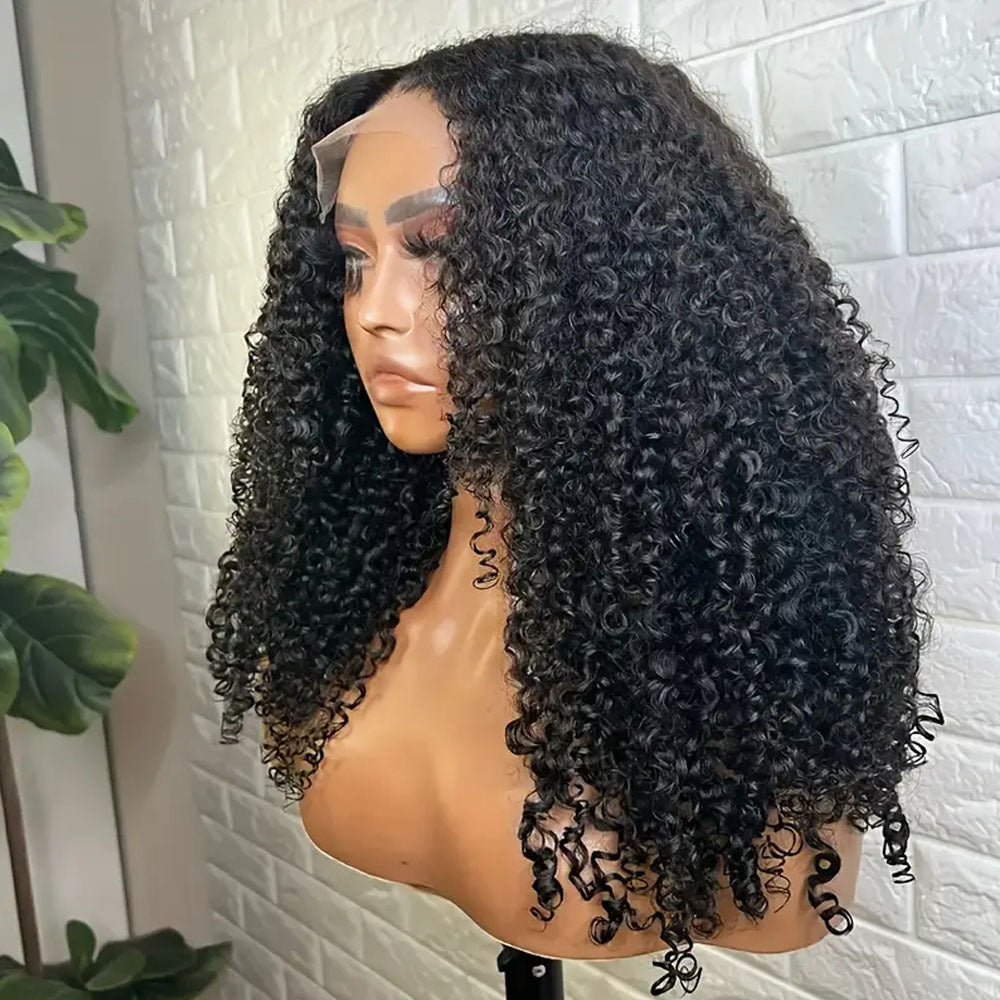 200% Density Brazilian Afro Curly Lace Closure Wig - 4x4 Transparent Pre-Plucked Human Hair Wig for Women, Natural Black, Voluminous Kinky Style, Full Coverage for Everyday Glamour, Everyday Glamour Look | Natural Hairline Wi