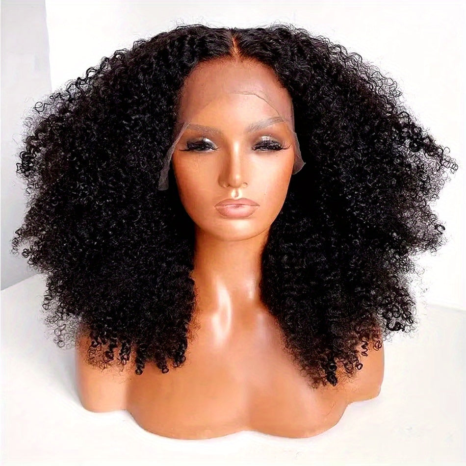 24 Inch Kinky Curly Wig for Women - 13x4 HD Lace Front, Glueless Brazilian Virgin Hair, Pre-Plucked with Kinky Edges, 250% Density, Natural Black Color, Full & Voluminous Curls, Perfect for Everyday or Special Occasions