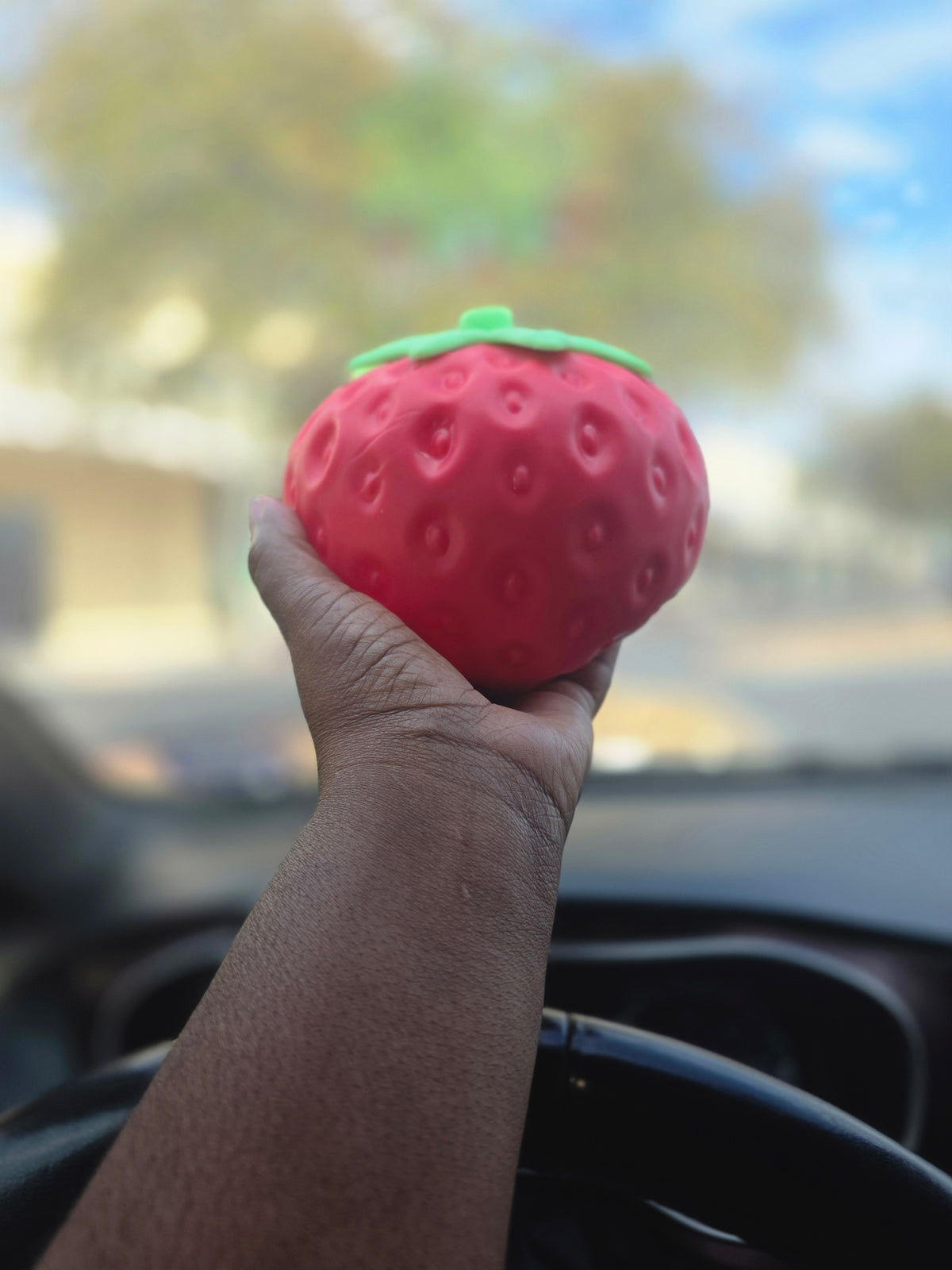 Giant Strawberry Squishy