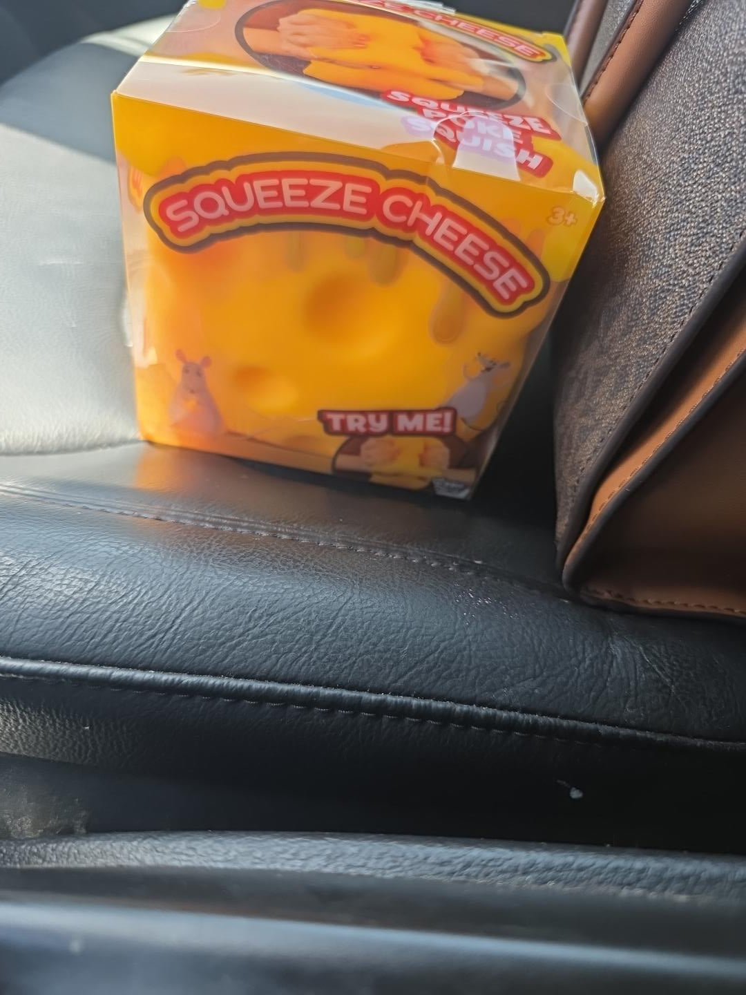 Squishy Cheese Block