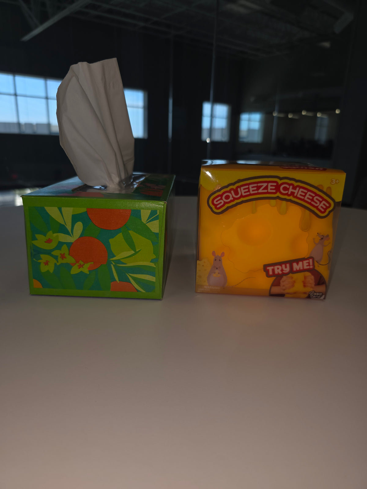Squishy Cheese Block
