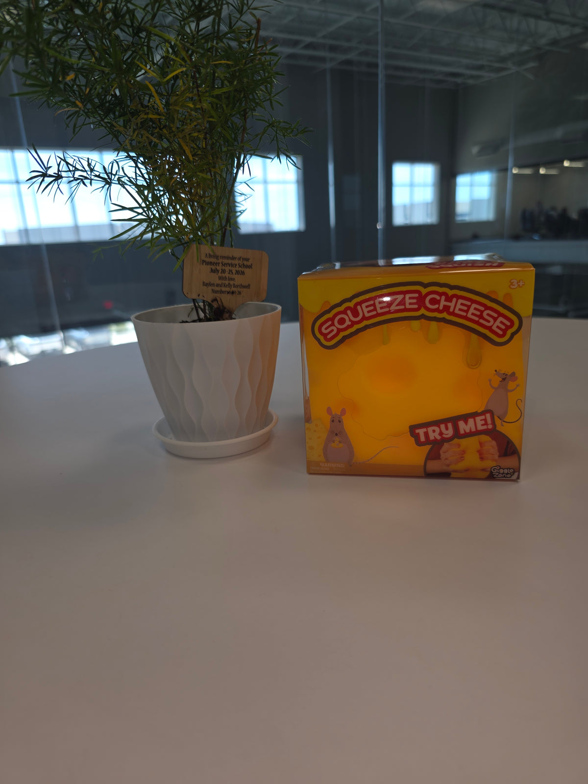Squishy Cheese Block
