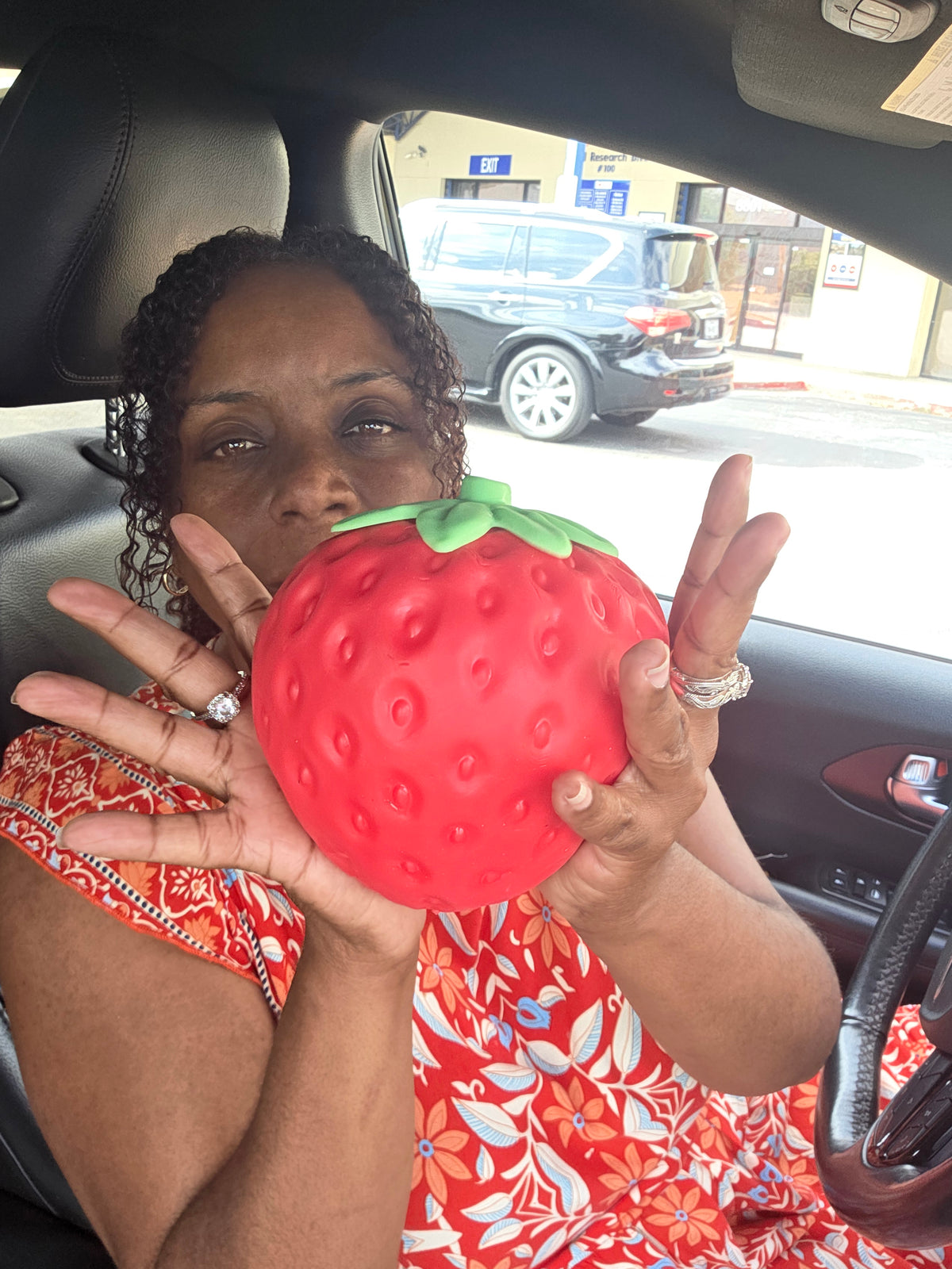 Giant Strawberry Squishy